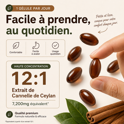 Cannelle de Ceylan — extrait 12:1, 7200 mg équivalent, une gélule par jour